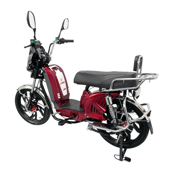 Factory direct sales of electric vehicles with a large guard bar, front and rear oil discs of the same color, CG tailframe, backrest and LED taillights